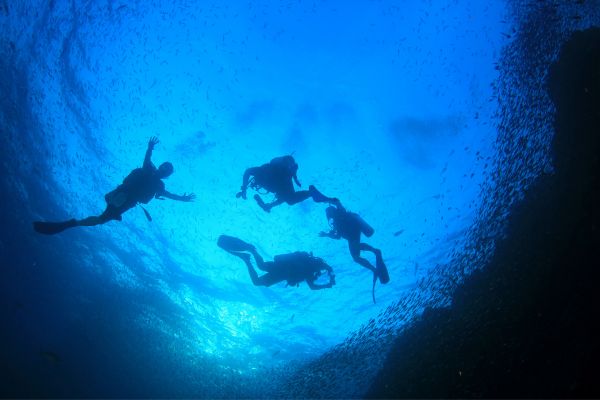 un groupe de plongeurs remontant à la surface de l'eau