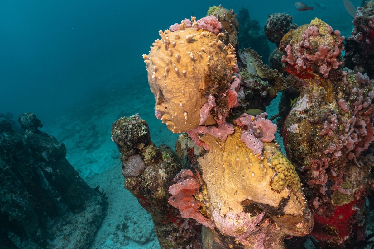 photo d'une statue sous marine au MUSA de Cancun