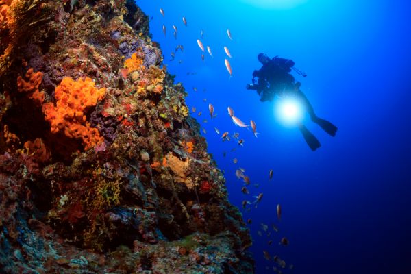 un plongeur équipé d'un scooter sous marin qui prend des photos du récif